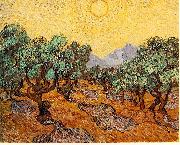 Vincent Van Gogh Olive Trees with Yellow Sky and Sun oil